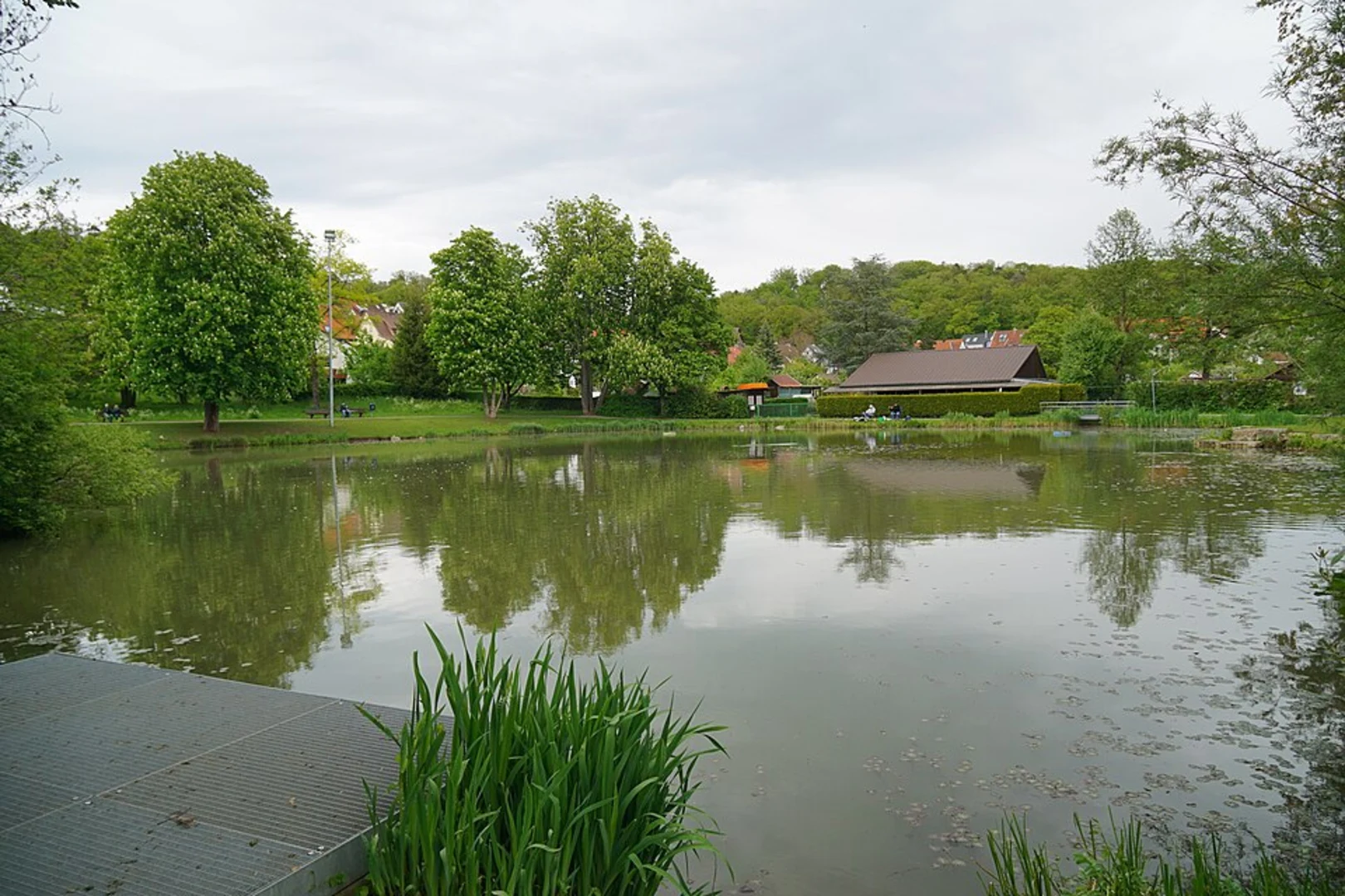 An image depicting the trail Stadtpark see Loop and its surrounding area.