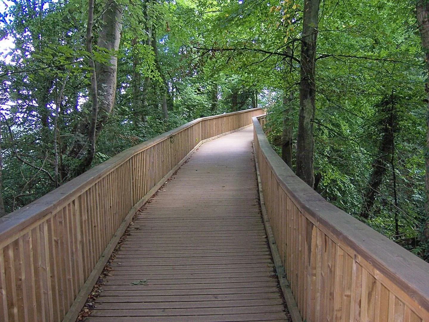 An image depicting the trail Highmeadow Woods and Mailscot Wood Loop and its surrounding area.
