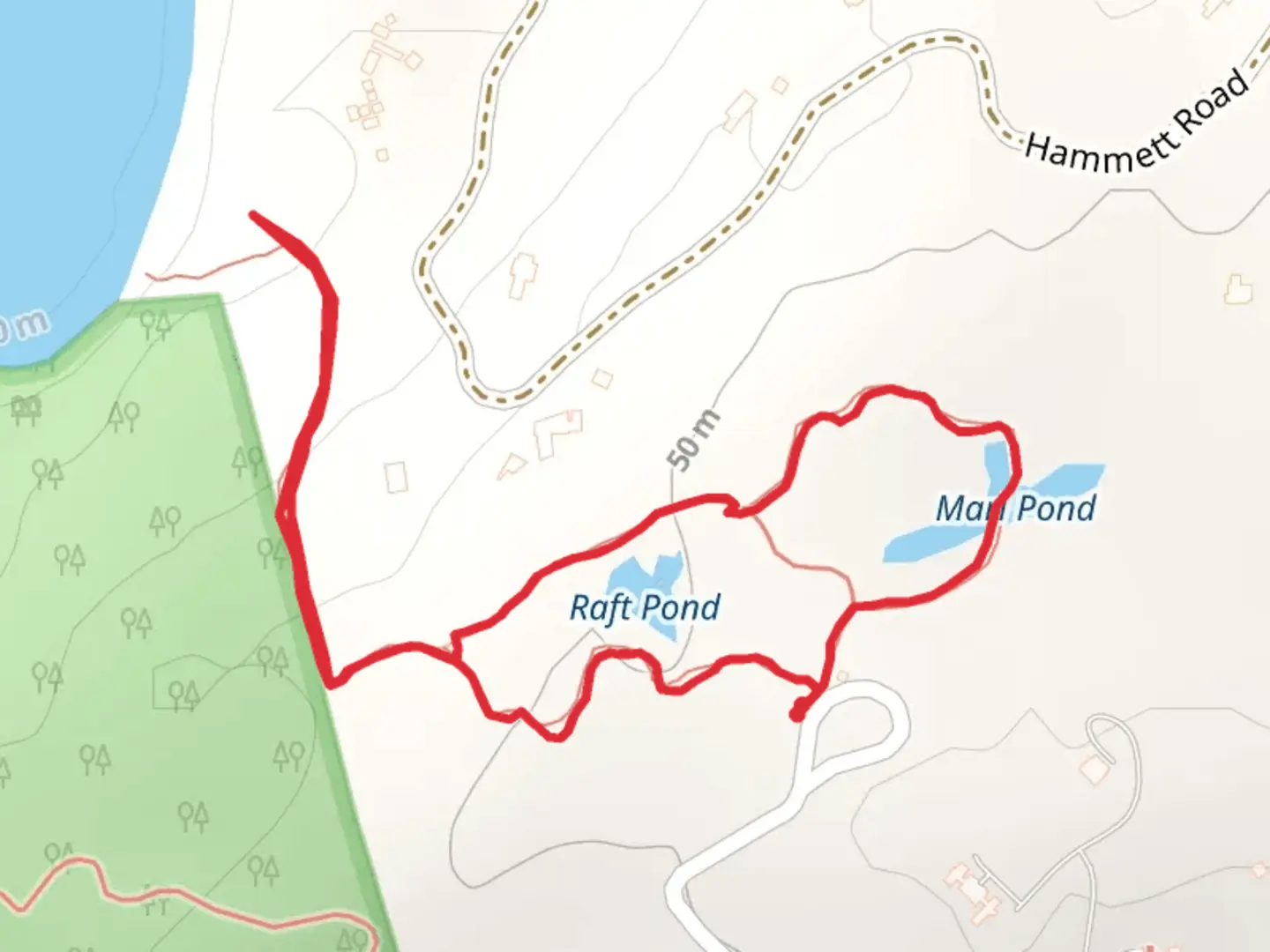 An image depicting the trail Raft Pond and Marl Pond Loop and its surrounding area.