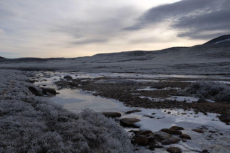 An image depicting the trail Dovrefjell–Sunndalsfjella National Park and its surrounding area.