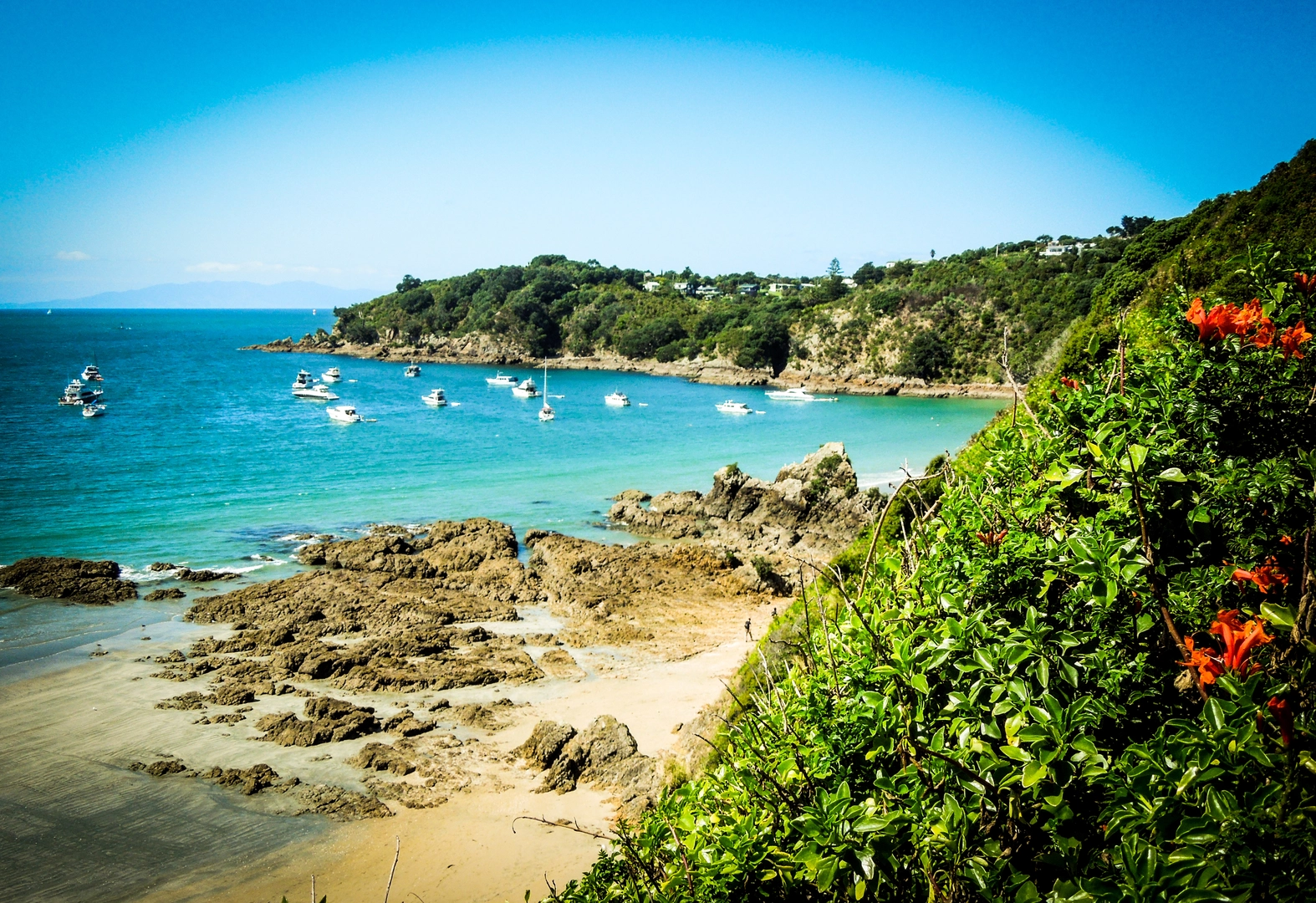 An image depicting the trail Oneroa Beach Track and its surrounding area.