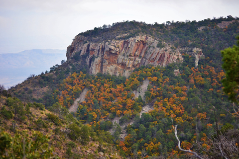 An image depicting the trail Emory Peak Trail and its surrounding area.