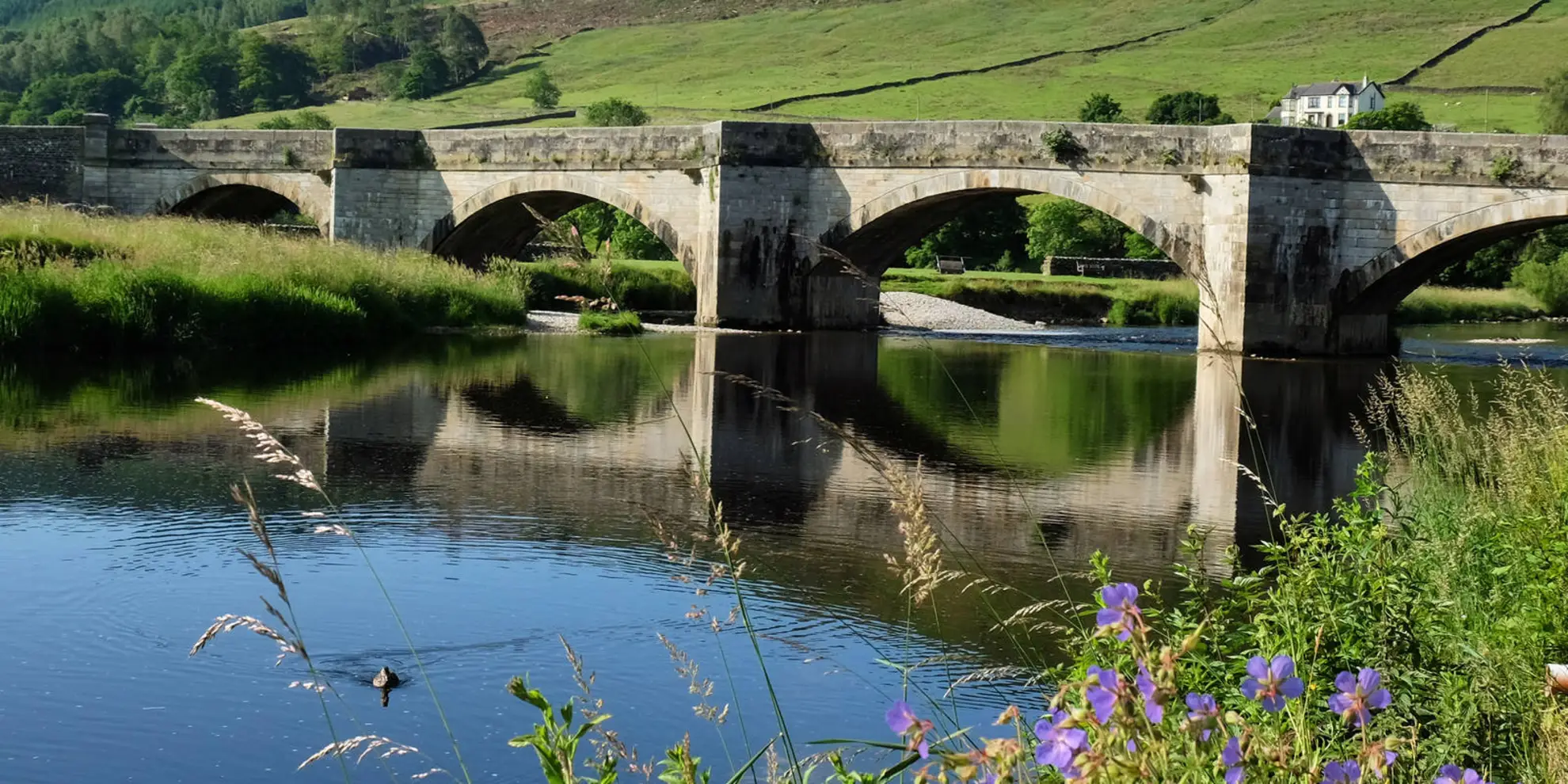 An image depicting the trail A Wharfedale Wander from Burnsall and its surrounding area.