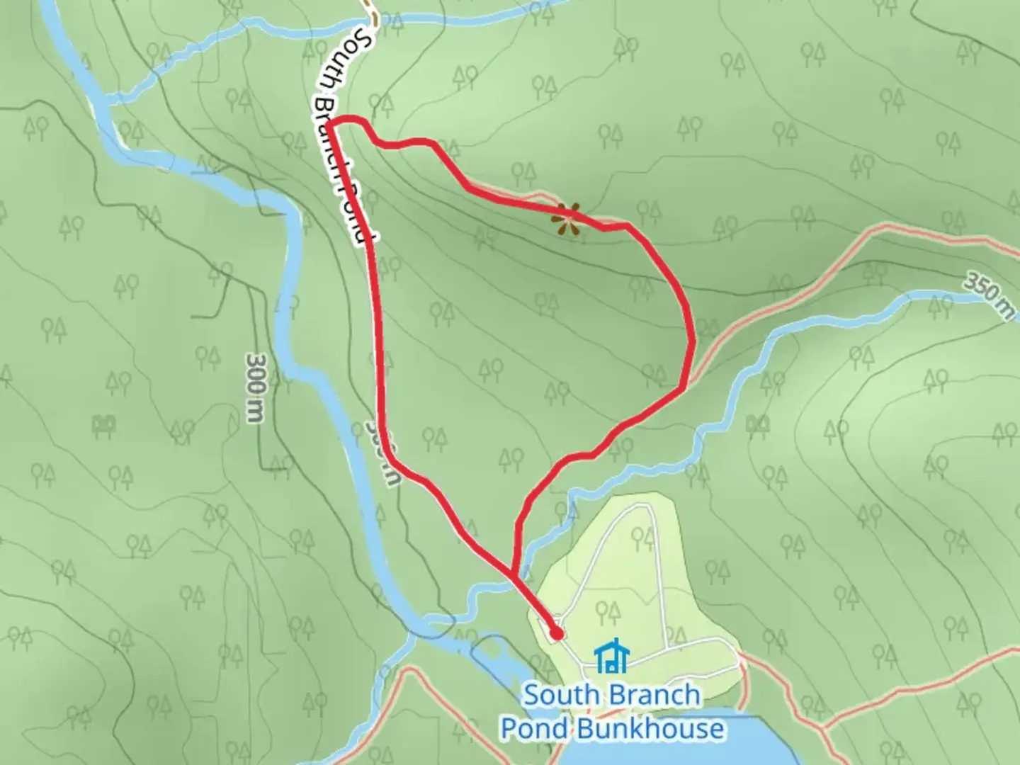 An image depicting the trail Ledges Trail from South Branch Pond and its surrounding area.
