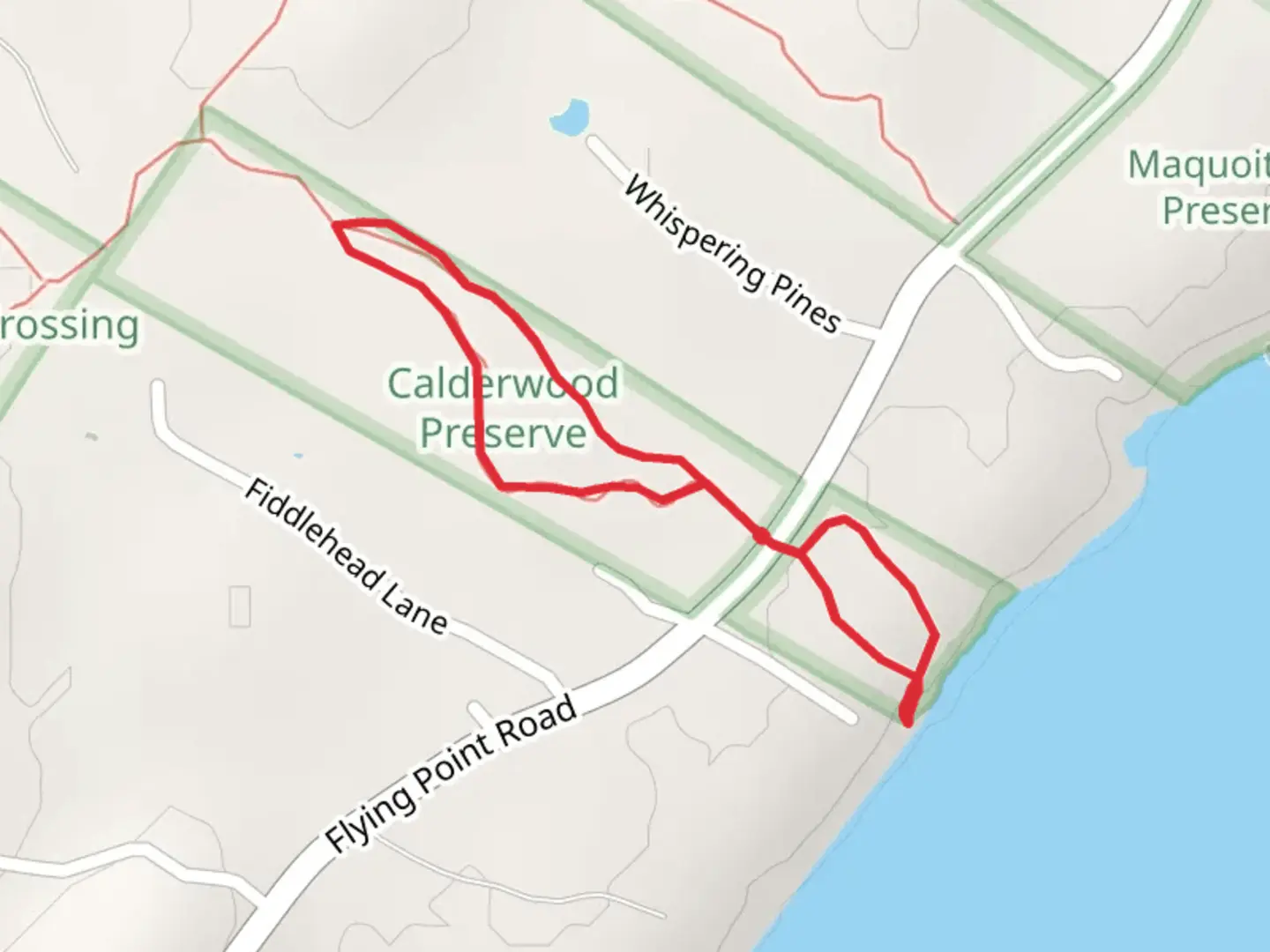 An image depicting the trail Flying Point Road Loop and its surrounding area.