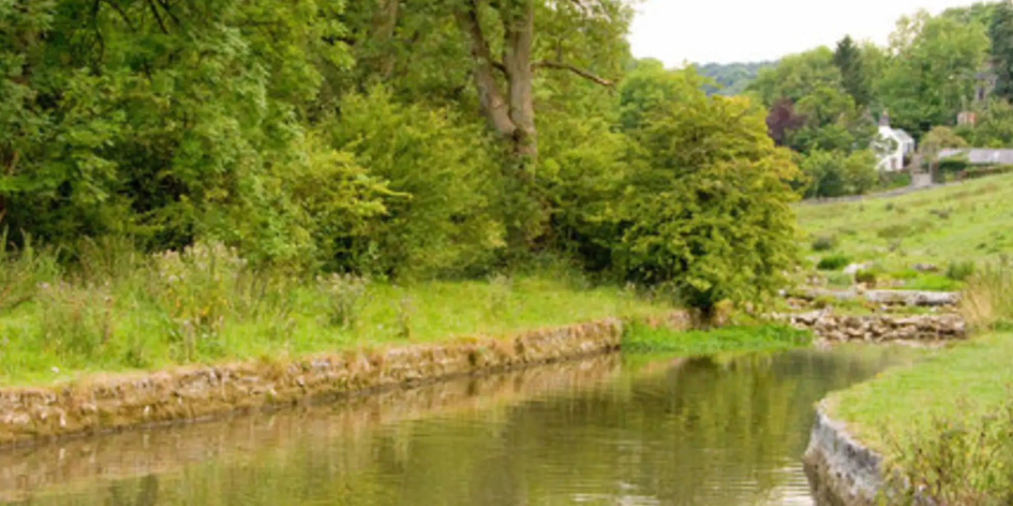 An image depicting the trail Youlgreave and Black Nursery Plantation and its surrounding area.