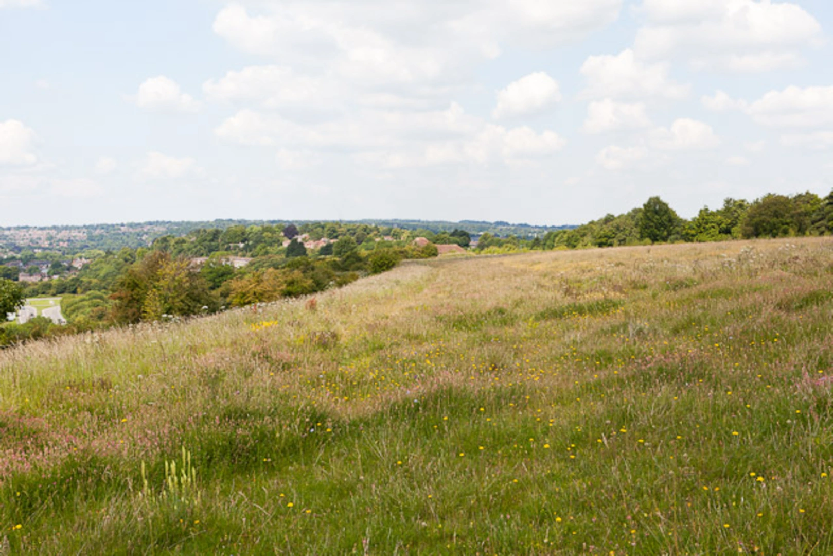 An image depicting the trail Winchester and Avington Loop via Kingham Lake and its surrounding area.