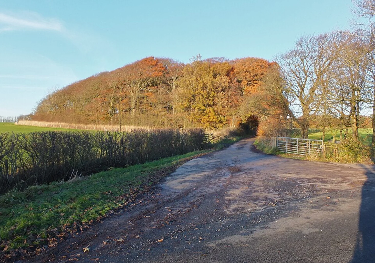An image depicting the trail Crow Wood and Cartford Bridge and its surrounding area.