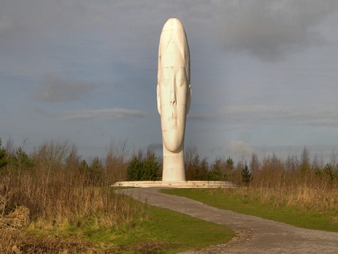 Sutton Manor Woodland Loop