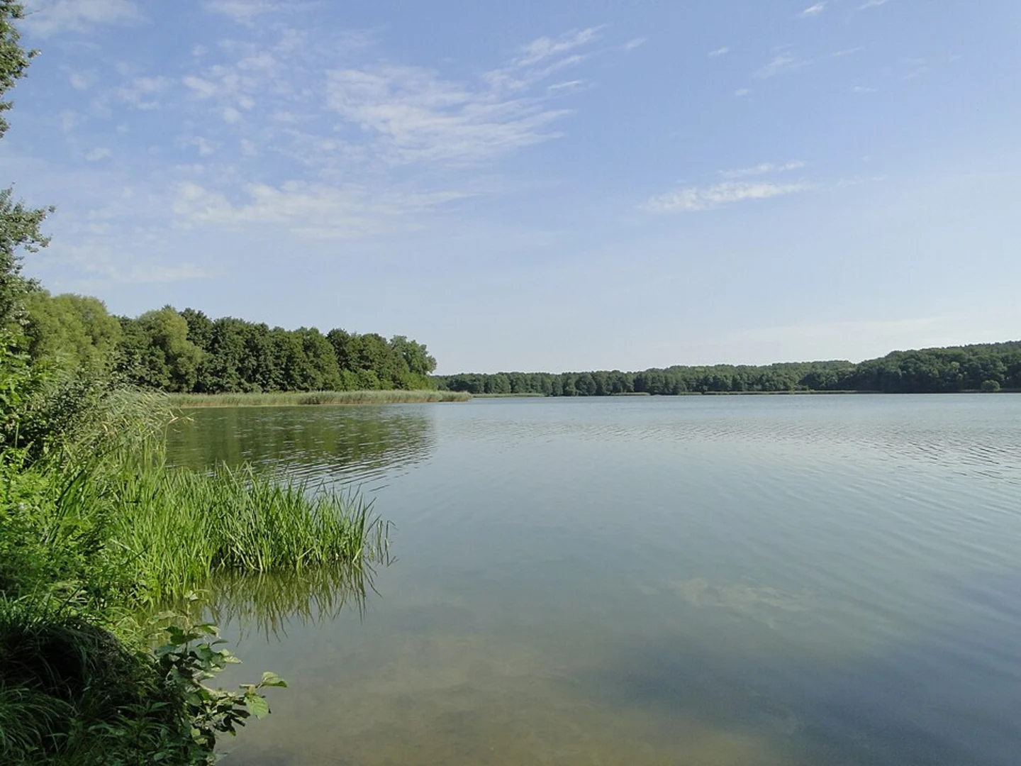 An image depicting the trail Parchim and Wockersee Loop via Wiesengang and its surrounding area.