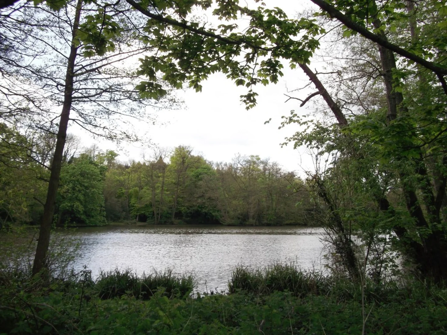 An image depicting the trail South Hawke and River Eden vvia Woldingham Countryside Walk and its surrounding area.