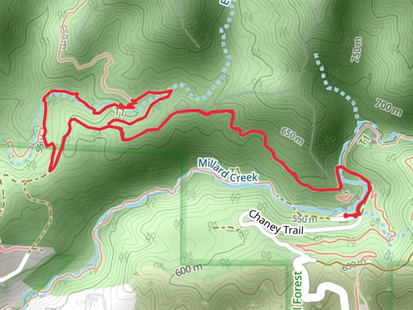 An image depicting the trail El Prieto Loop Trail and its surrounding area.
