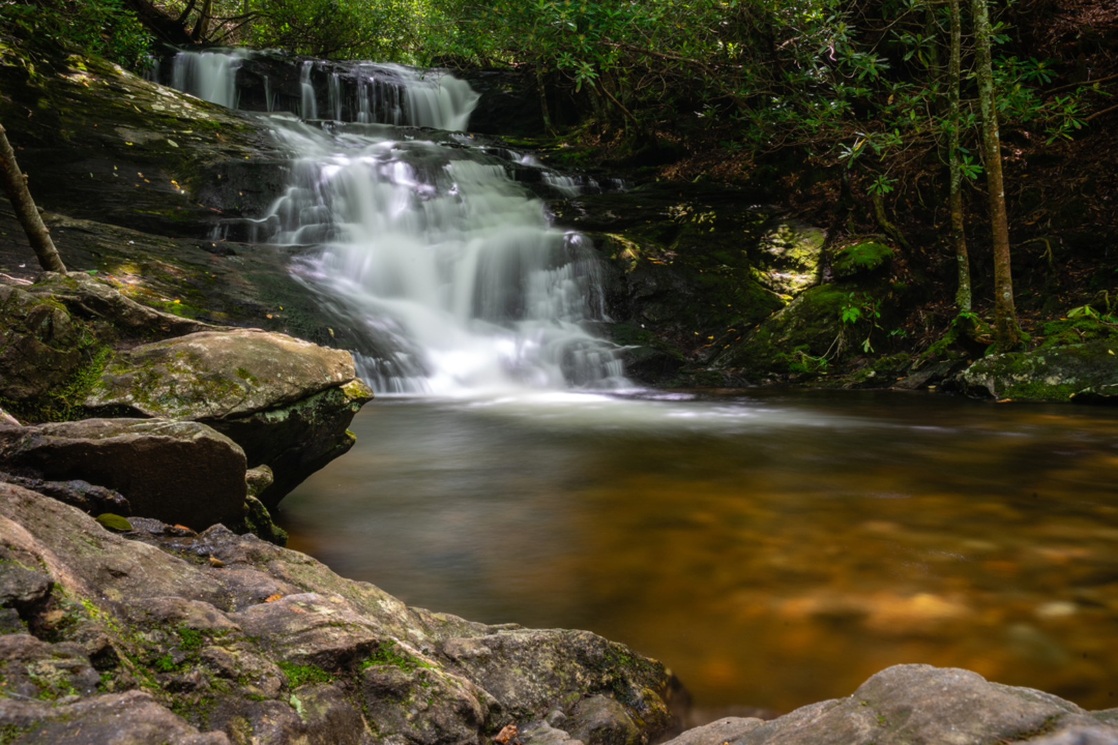 An image depicting the trail Big Laurel Falls Trail and its surrounding area.