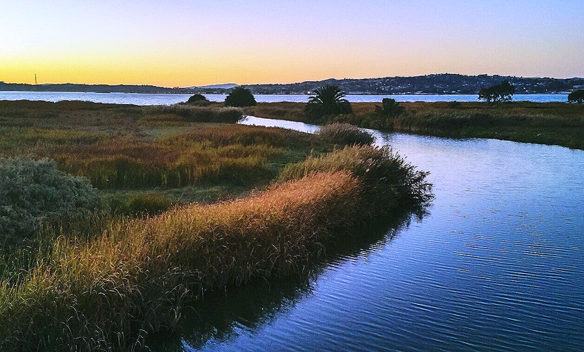 Saint Catherine of Siena Catholic Cametery Walk