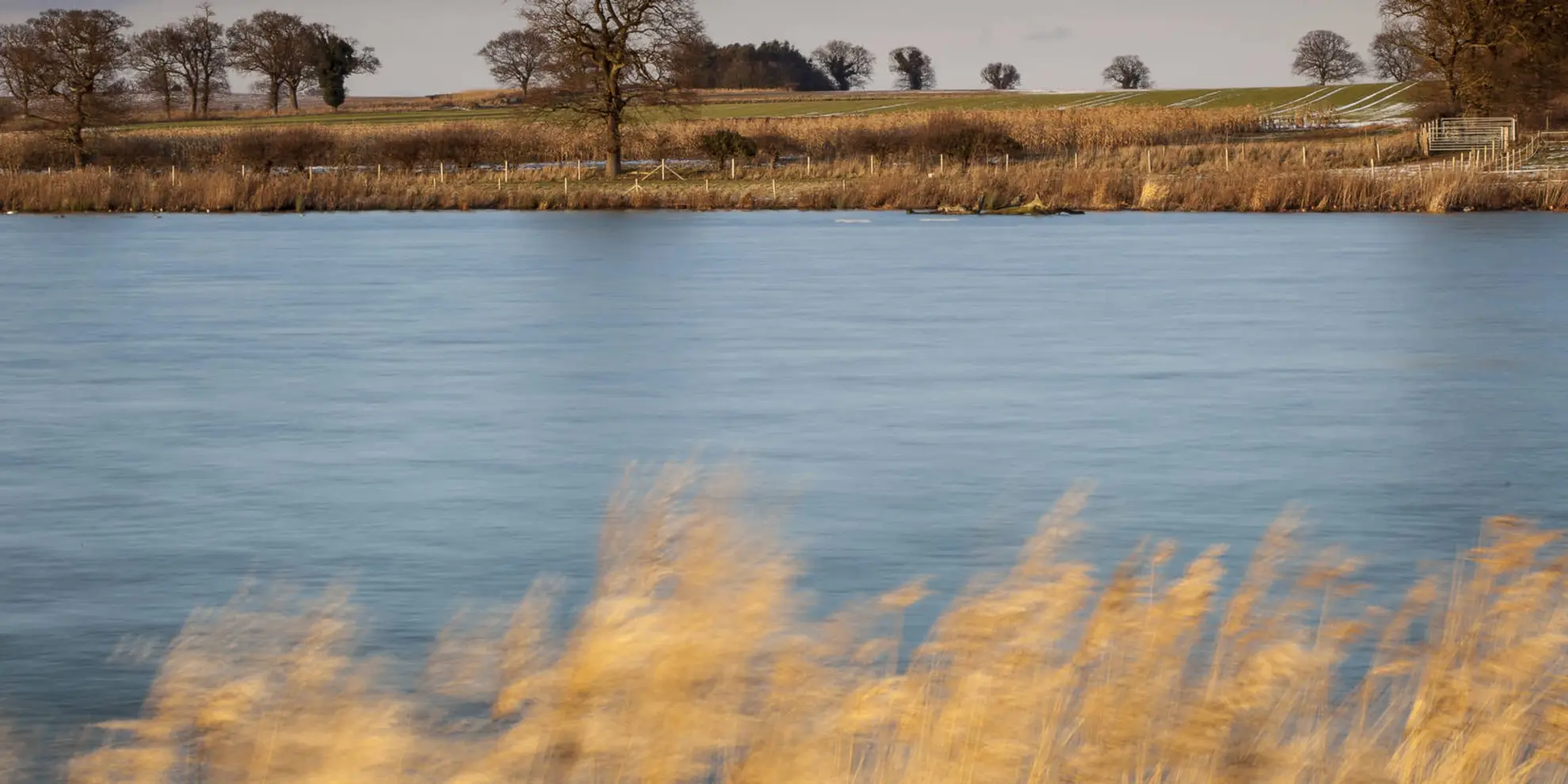 An image depicting the trail Loddon Marshes Walk and its surrounding area.