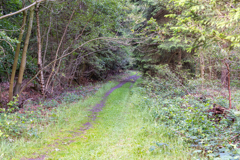 Hunzebos, Westerbos and Exloosche Loop