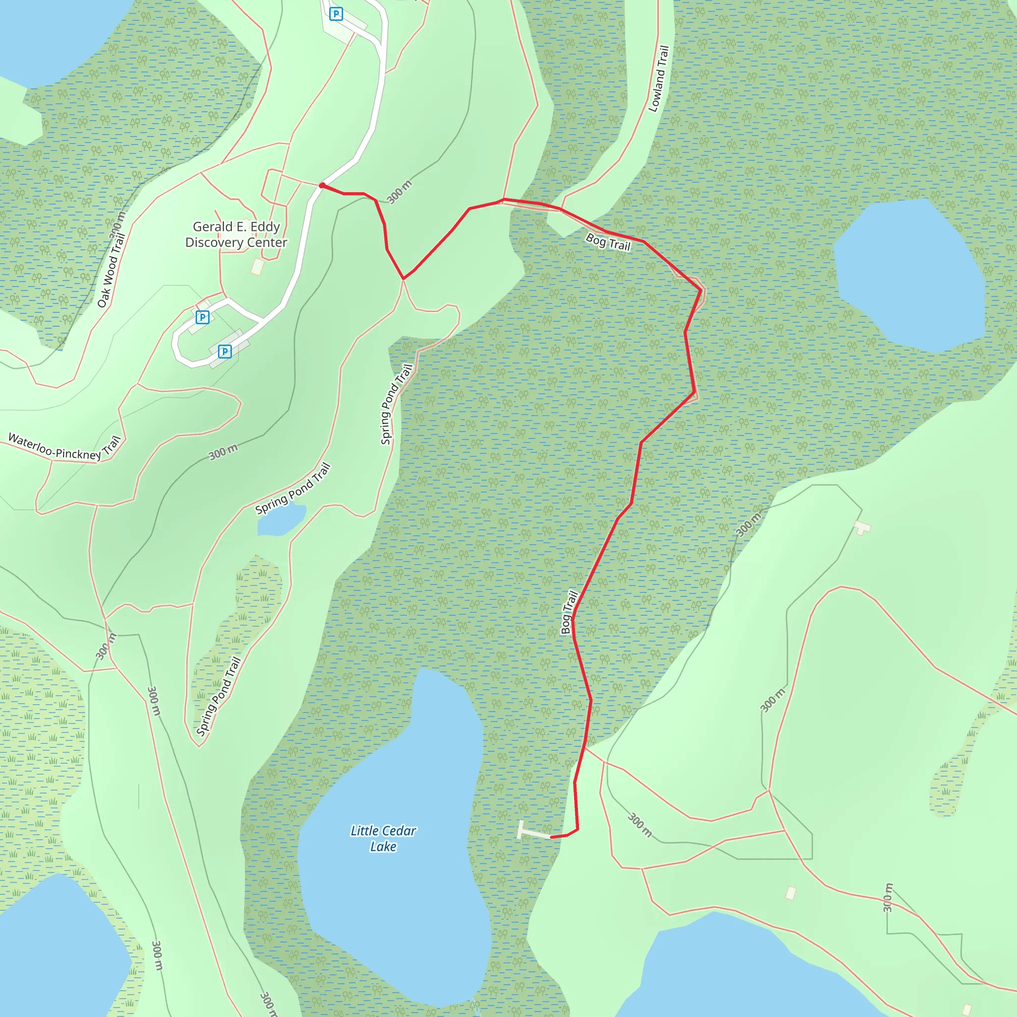 Bog Trail mobile static map