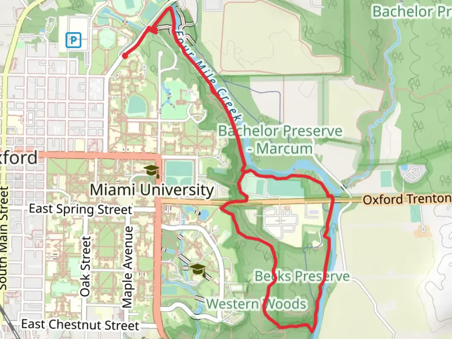An image depicting the trail Walk along Four Mile Creek and its surrounding area.