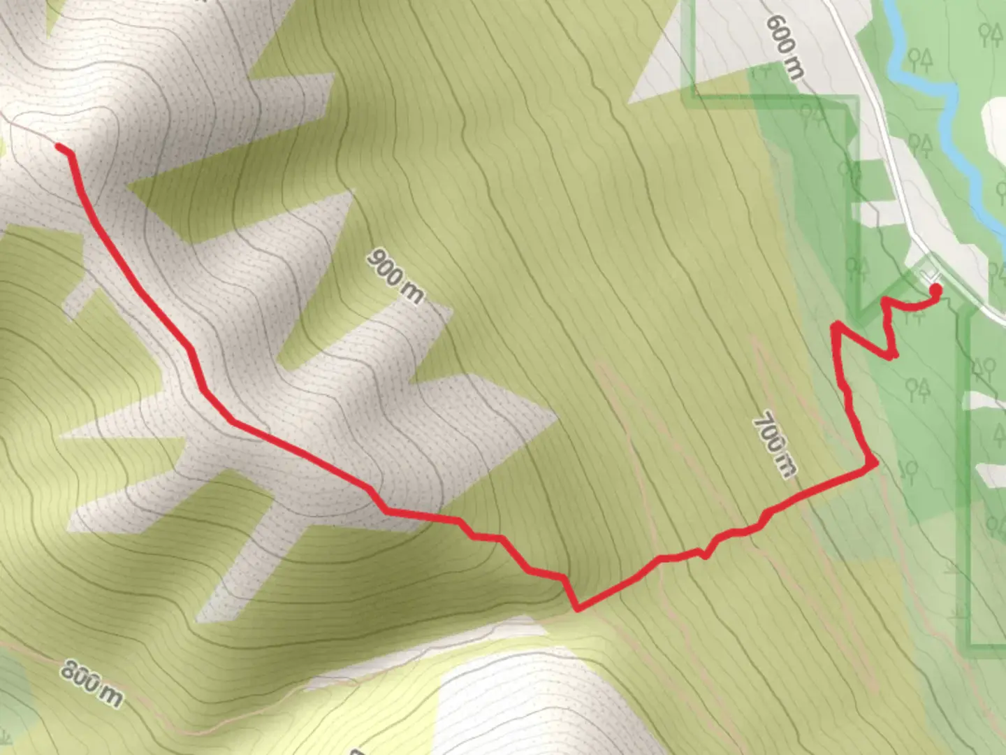 An image depicting the trail Rendezvous Ridge Trail and its surrounding area.