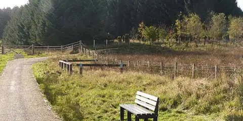 An image depicting the trail Waskerley Way Railway Path and its surrounding area.