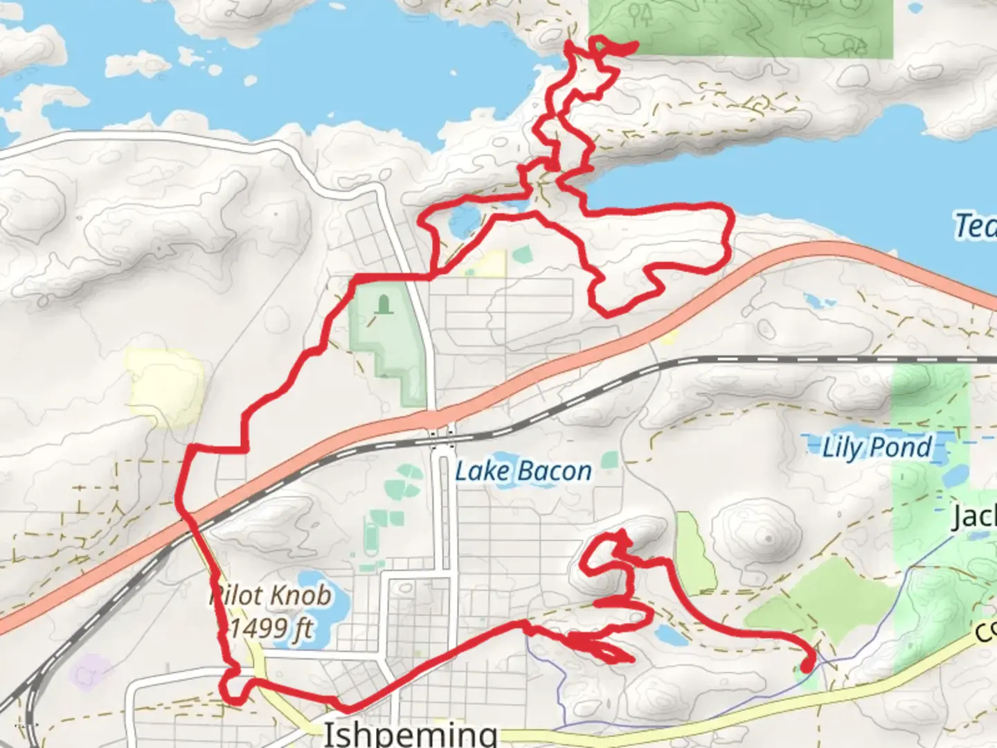 An image depicting the trail Little Lake, Teal Lake and Carp Creek Loop Walk and its surrounding area.