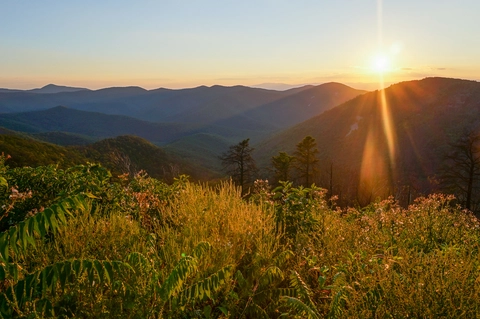 An image depicting the trail Brown Rocky Mountain Loop Trail and its surrounding area.