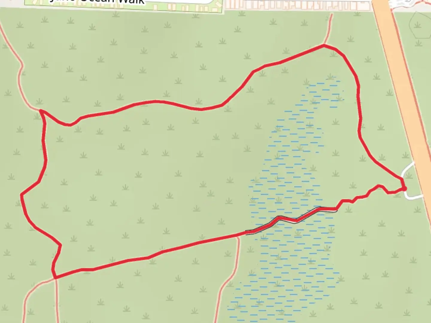An image depicting the trail Juno Dunes Natural Area Loop and its surrounding area.