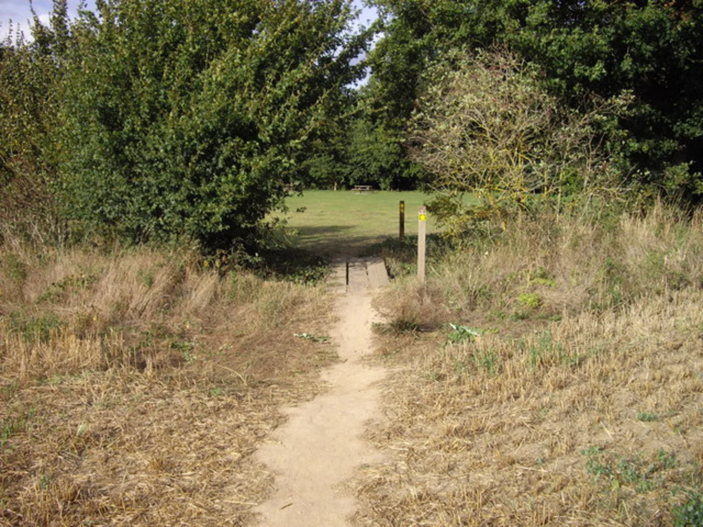An image depicting the trail Raydon to Sudbury Walk and its surrounding area.