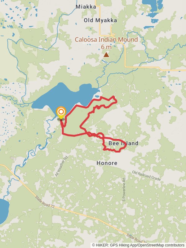 Myakka Hiking Trail Loop