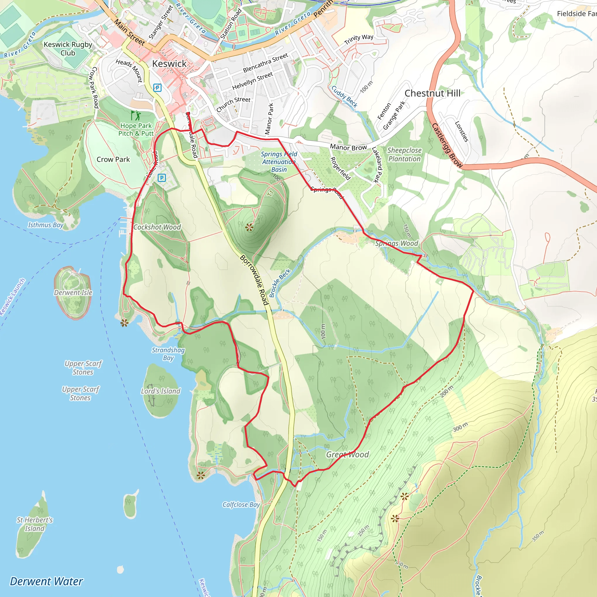 Great Wood and Derwentwater Walk mobile static map