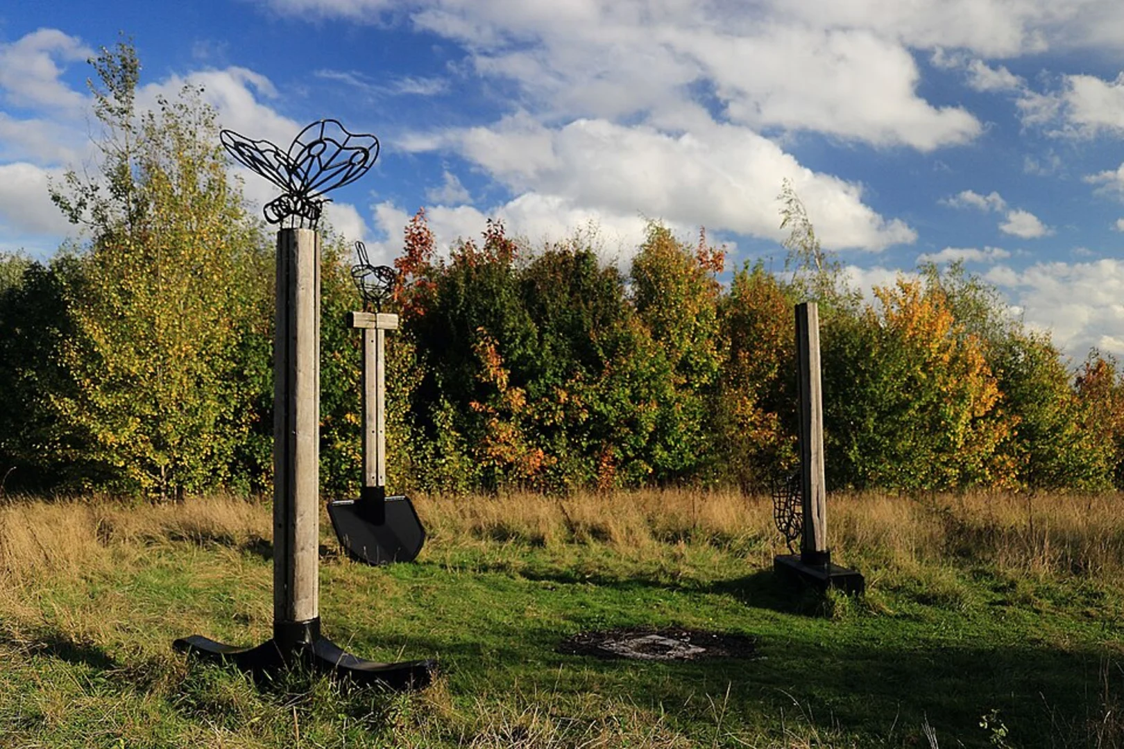 An image depicting the trail Newstead and Papplewick Loop and its surrounding area.