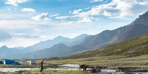 An image depicting the trail Markha Valley Trek and its surrounding area.