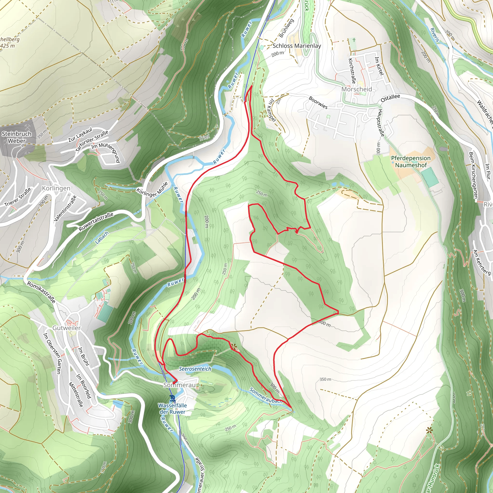 Morscheider Grenzpfad and Ruwer Hochwald Radweg mobile static map