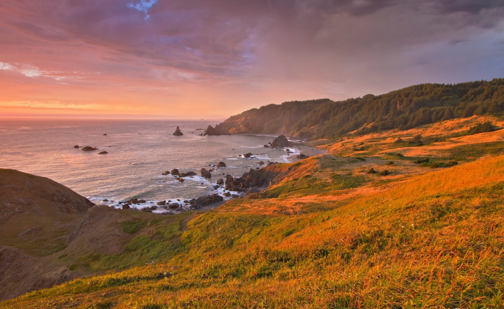 An image depicting the trail Clifside Trail from Cape Blanco Road and its surrounding area.