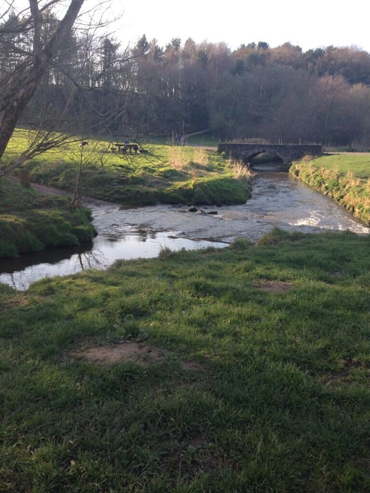 Cuerden Valley Park Loop