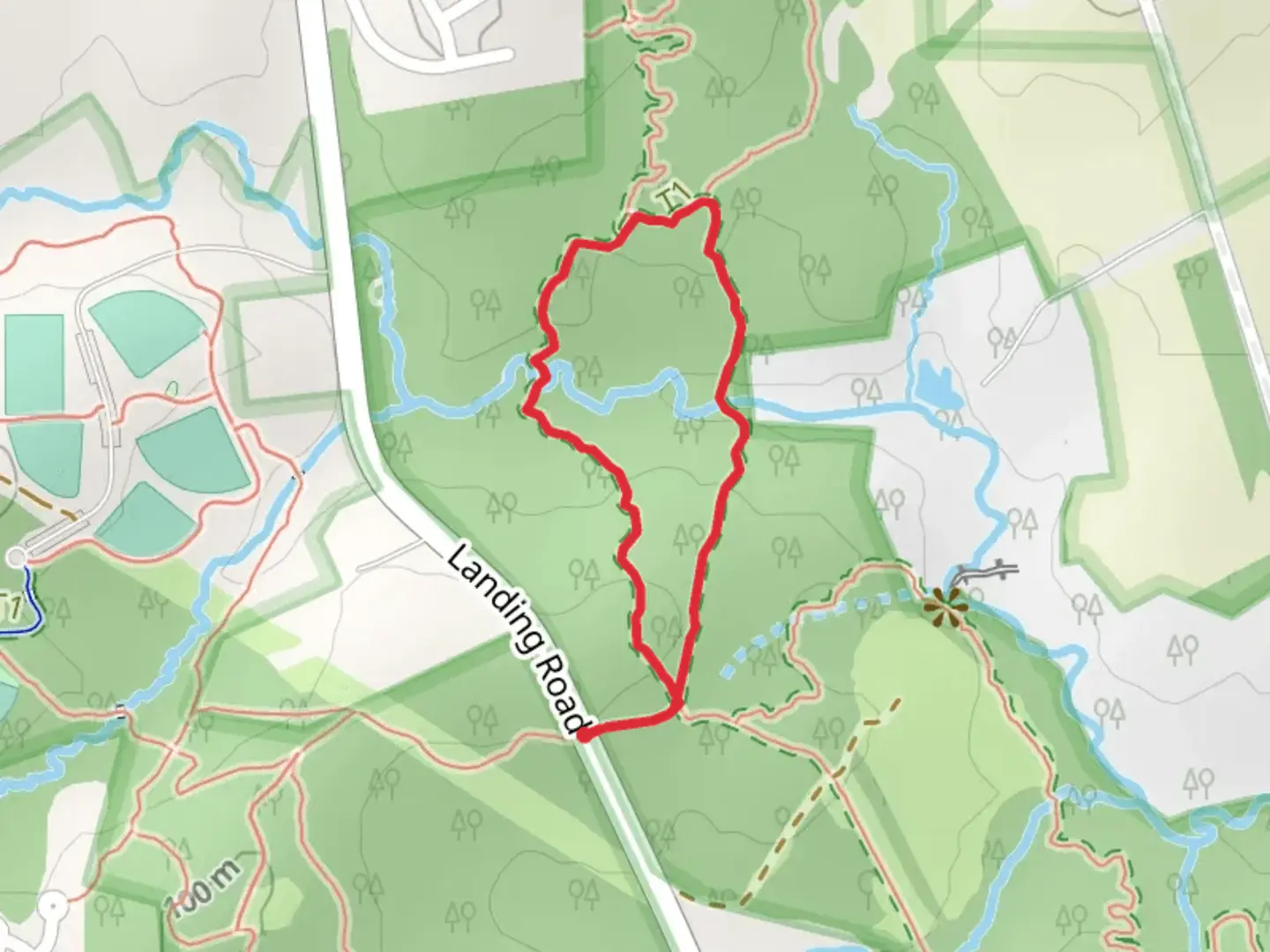 An image depicting the trail Morning Choice Loop Trail and its surrounding area.
