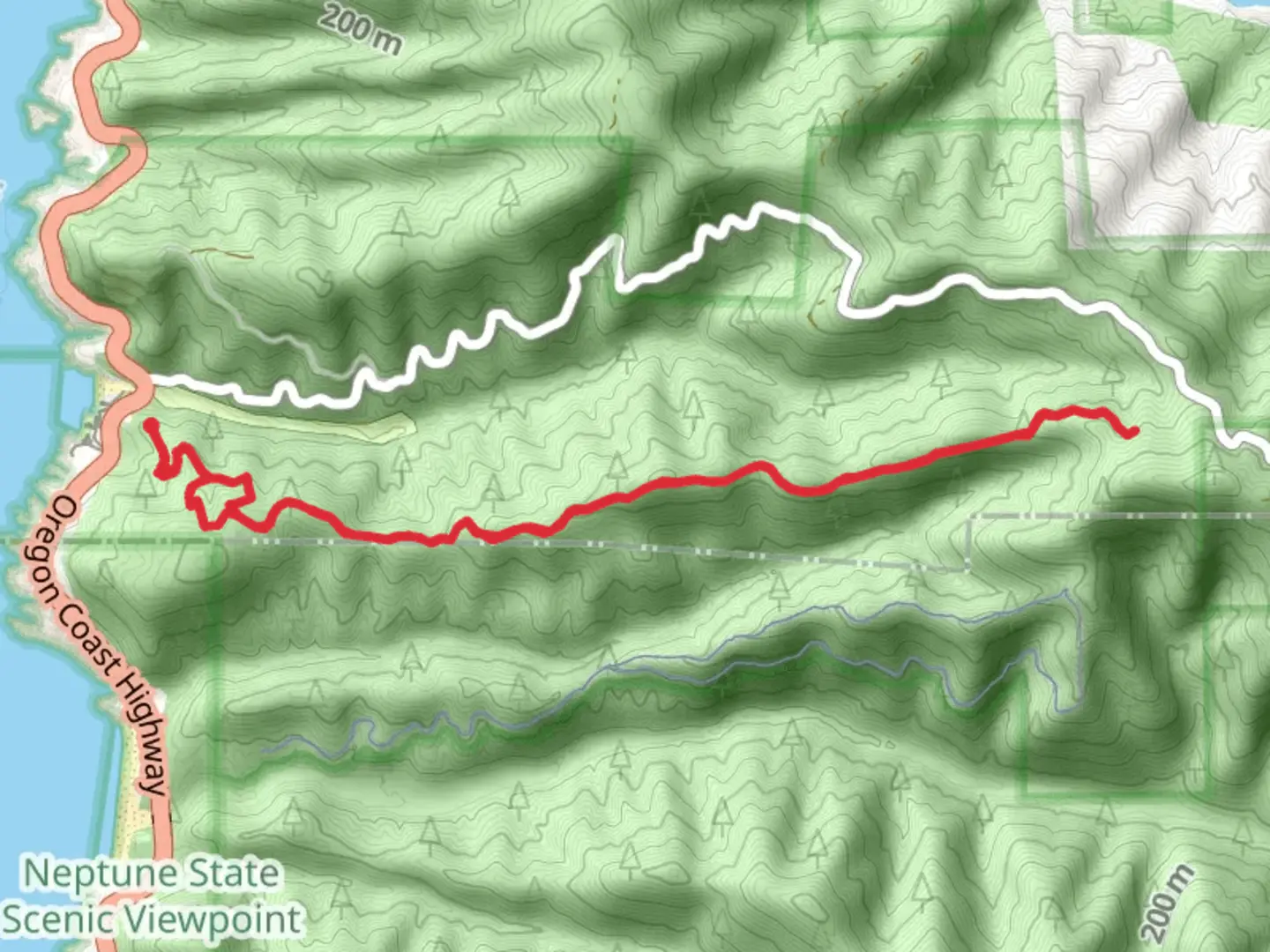 An image depicting the trail Gwynn Creek and its surrounding area.