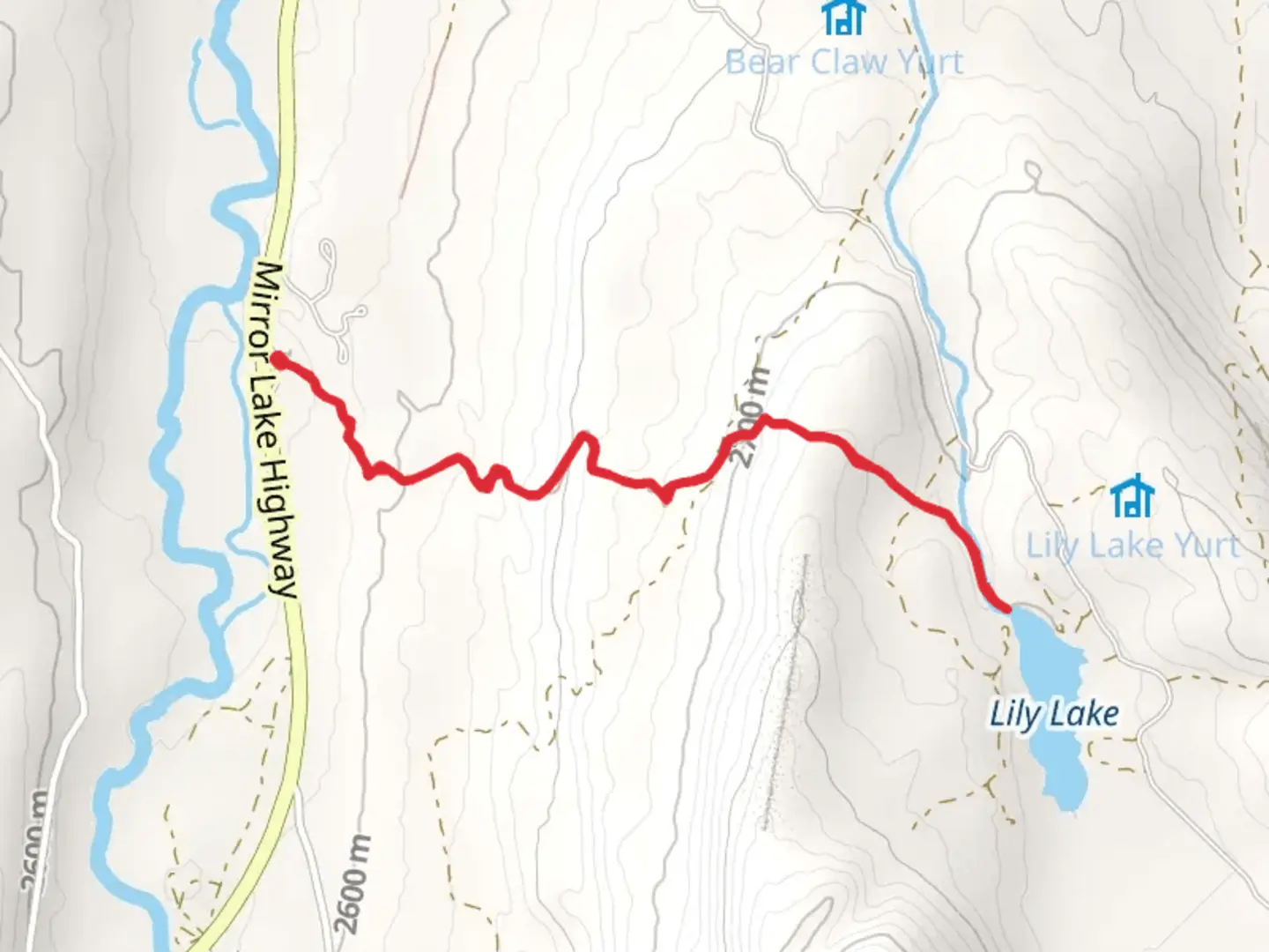 An image depicting the trail Lily Lake Trail and its surrounding area.