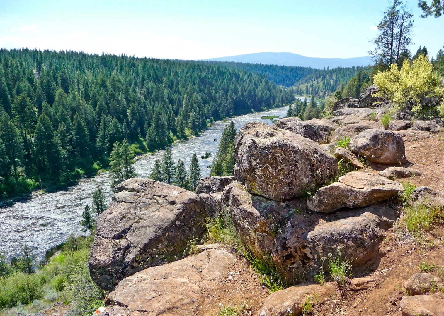 An image depicting the trail Clover Creek Loop and its surrounding area.