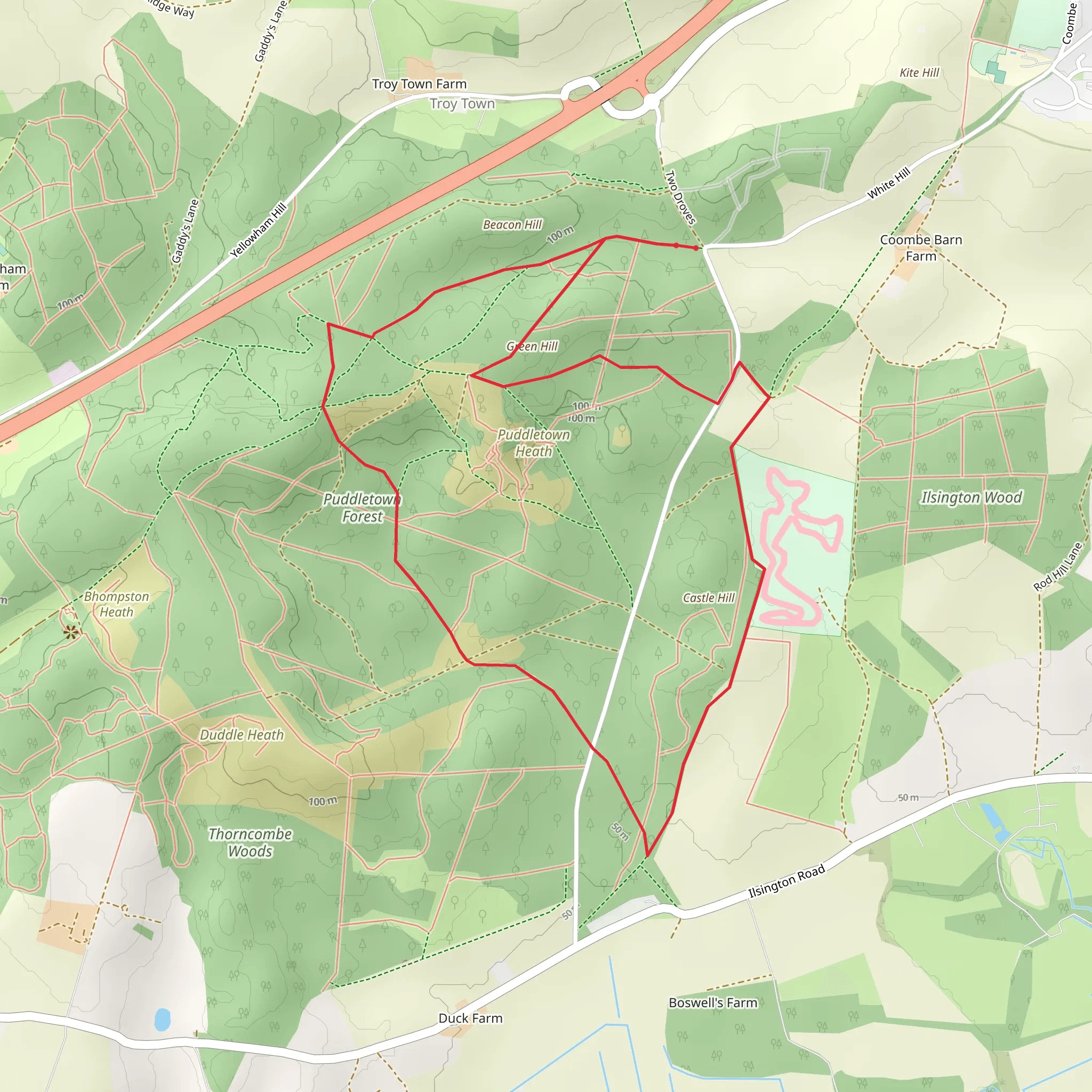 Puddletown Forest Loop mobile static map