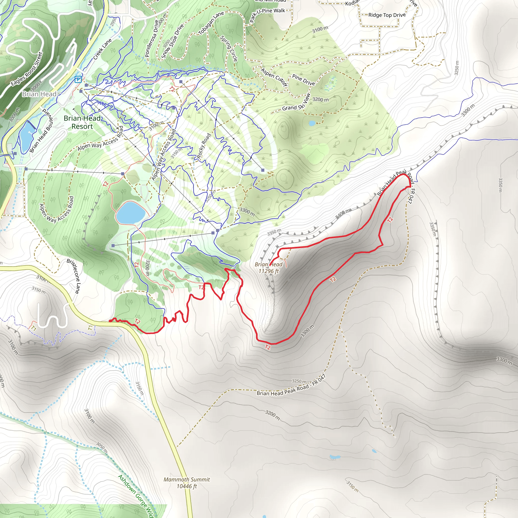 Brian Head via Color Flow and Brianhead Peak Trail mobile static map