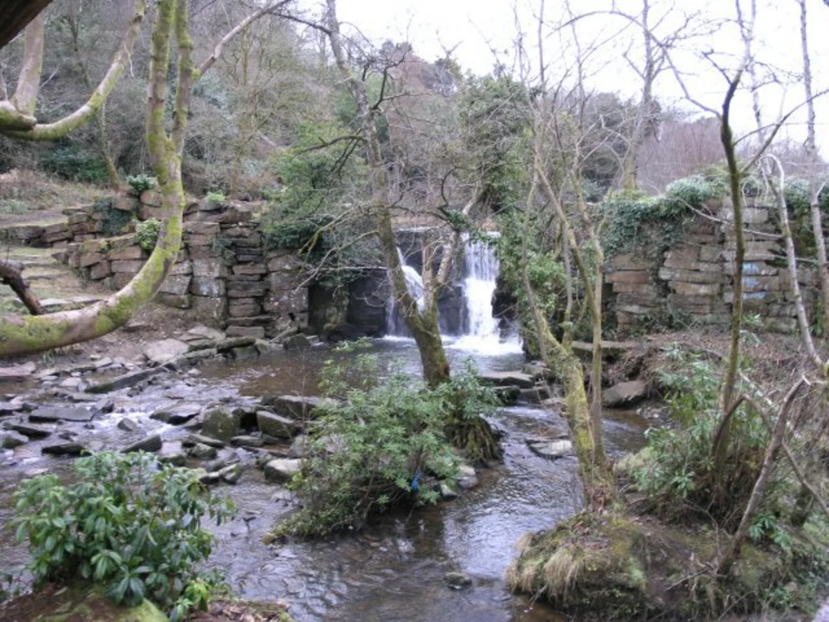 Penllergare Valley Woods Loop