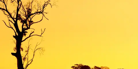 An image depicting the trail Simpson Loop Trail and its surrounding area.