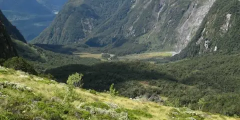 An image depicting the trail Moraine Creek Route and its surrounding area.