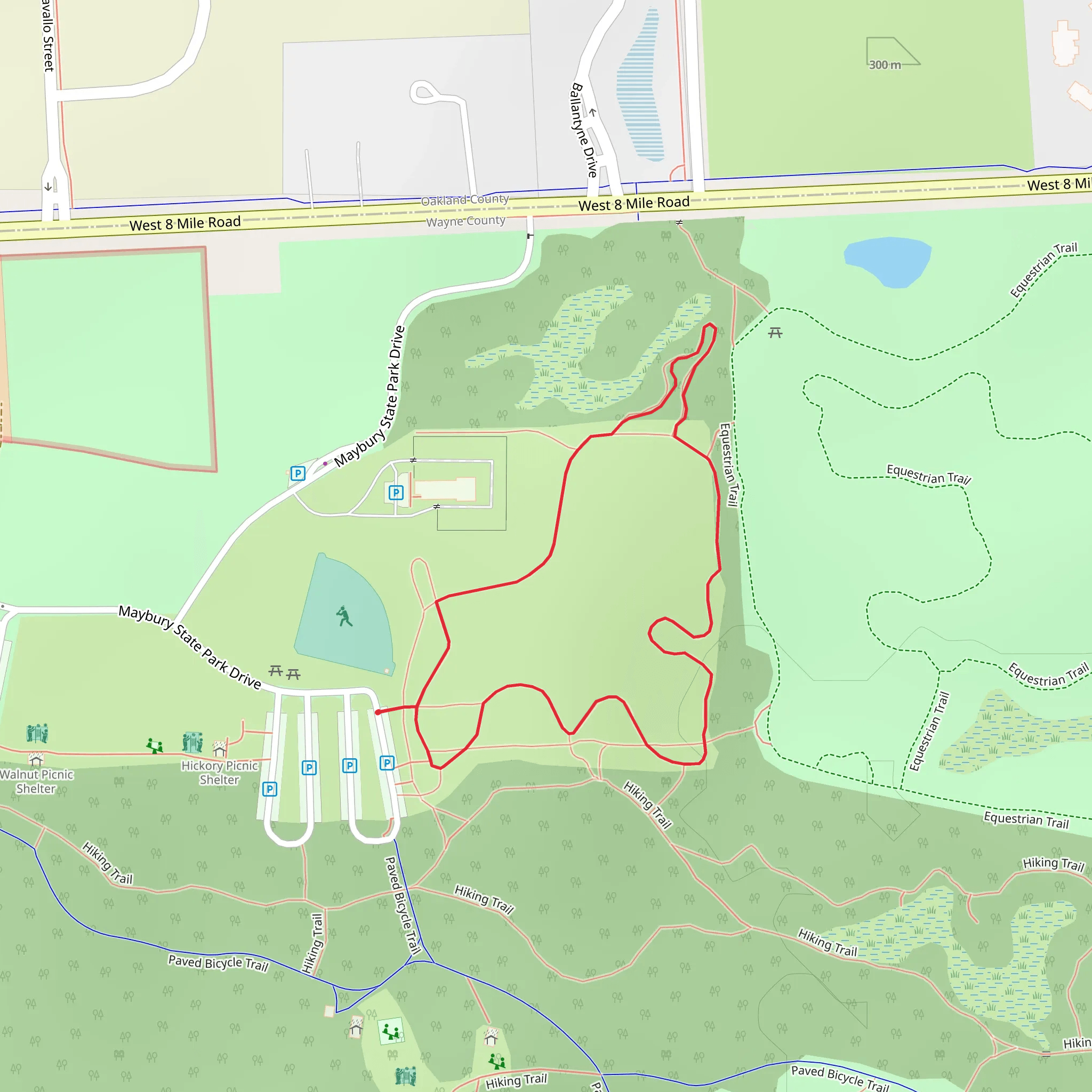 Bluebird Meadows Loop mobile static map
