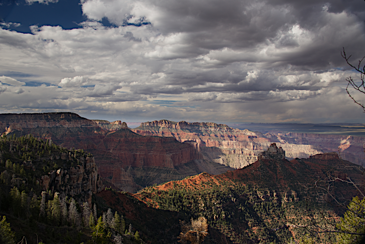 Komo Point Trail