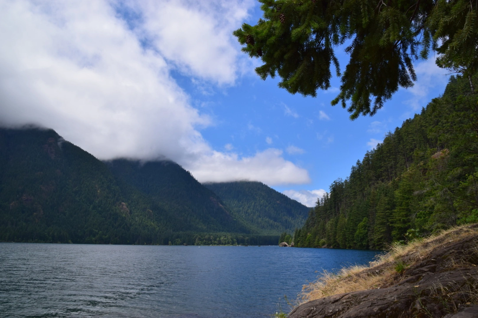 An image depicting the trail Mountain Rose Trail and its surrounding area.