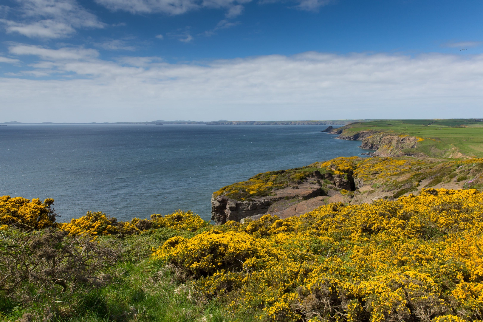 An image depicting the trail Mill Haven - St Brides Haven and its surrounding area.