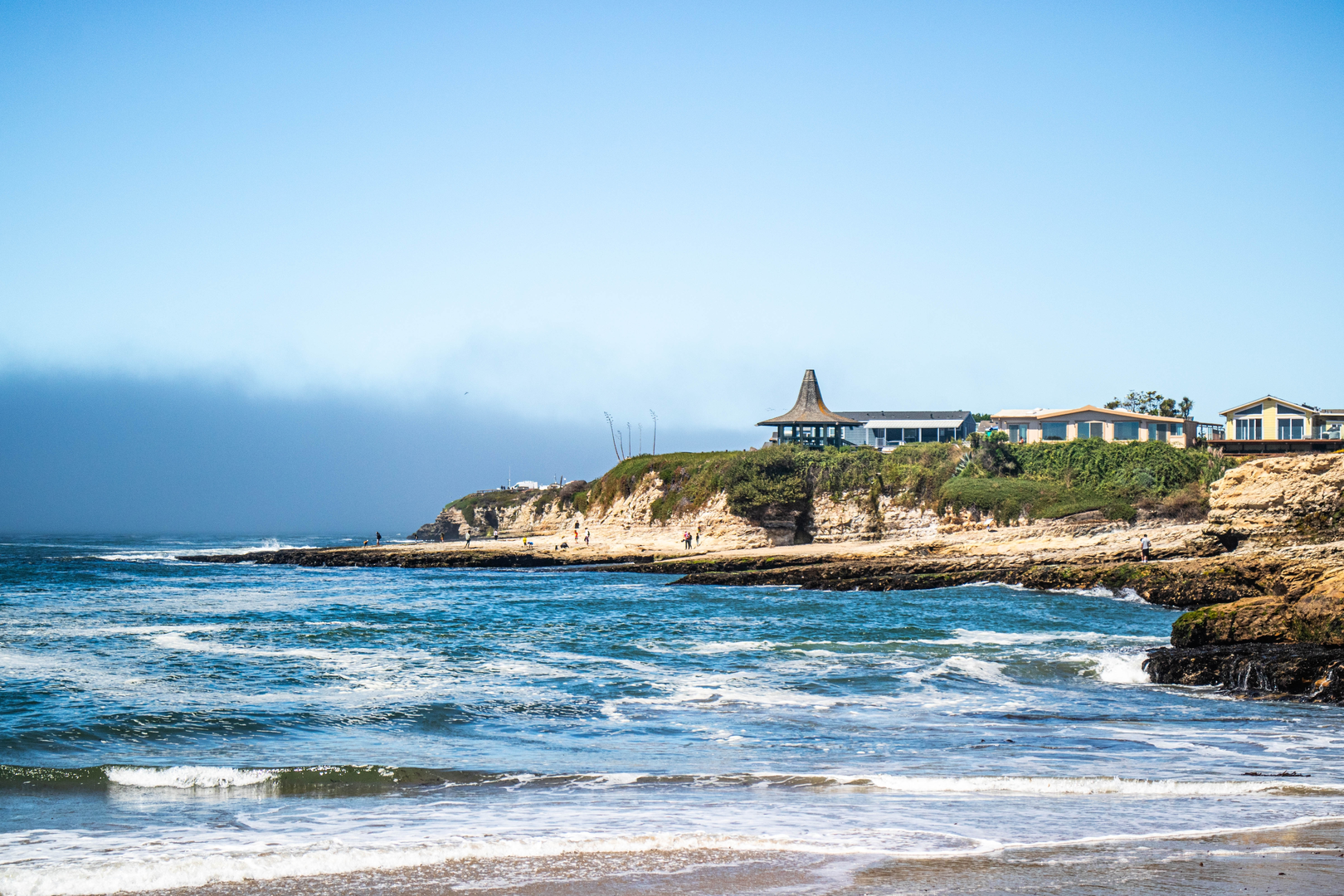 An image depicting the trail Monarch Butterfly Natural Preserve Loop and its surrounding area.