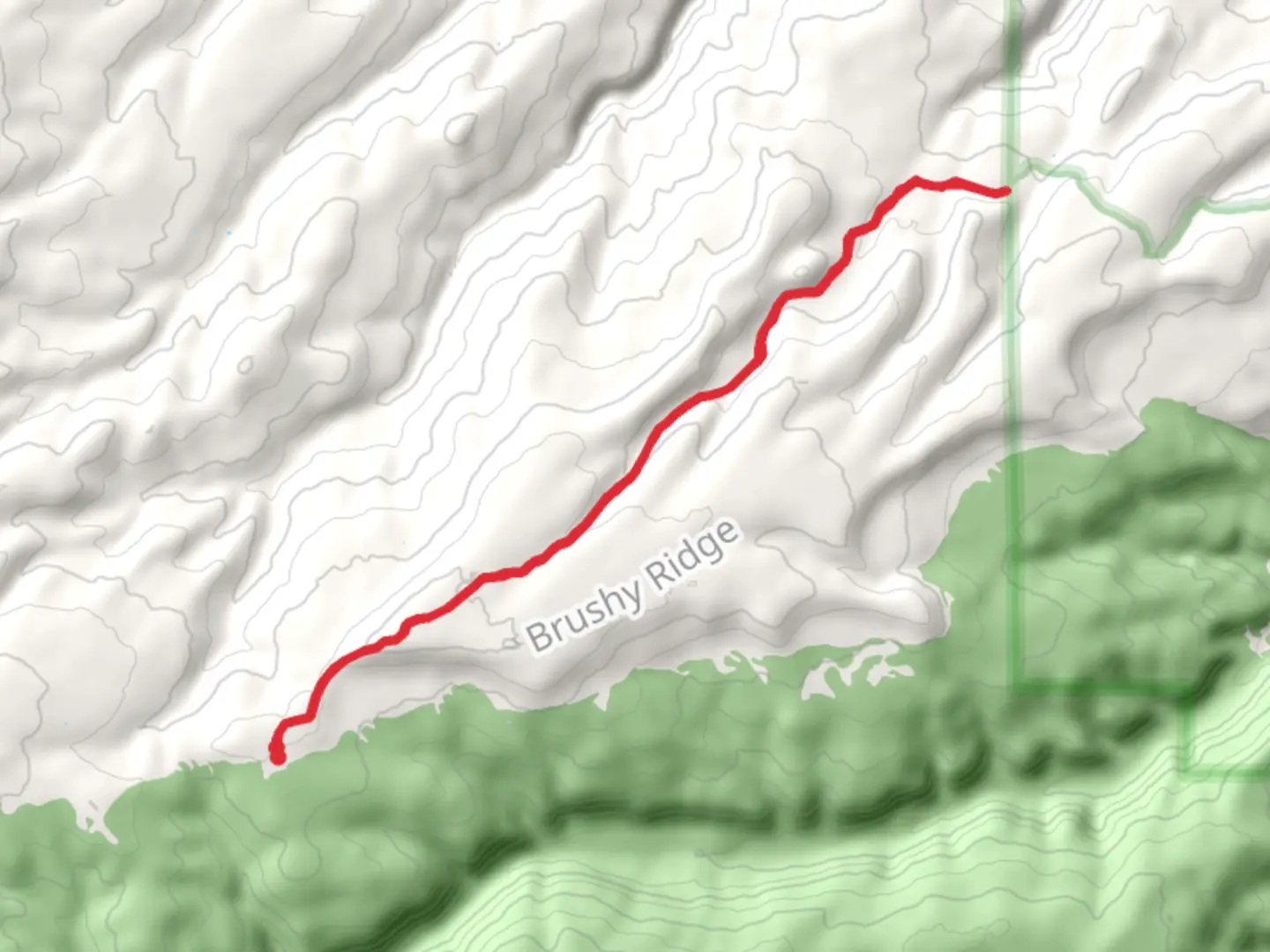 An image depicting the trail Corral Gulch Trail and its surrounding area.
